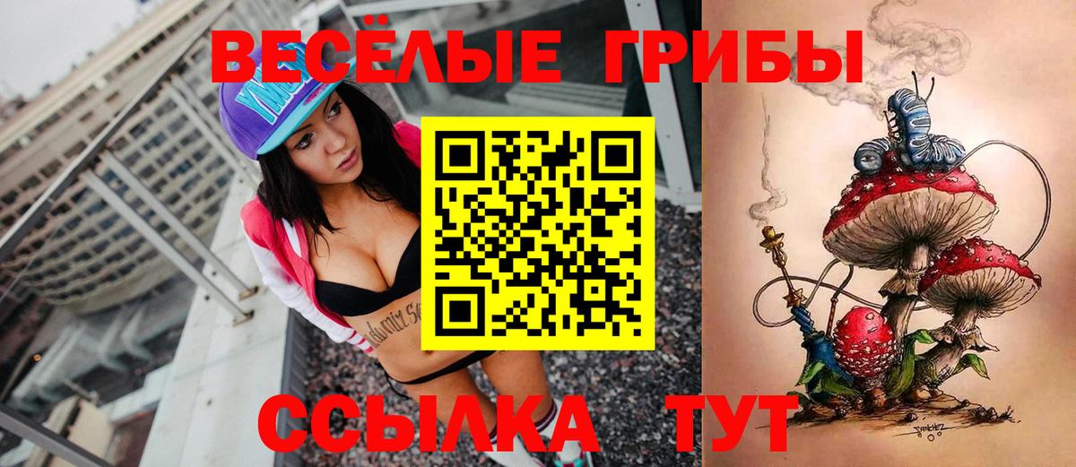 Галлюциногенные грибы GOLDEN TEACHER  цены   Гуково  Вход с VPN 