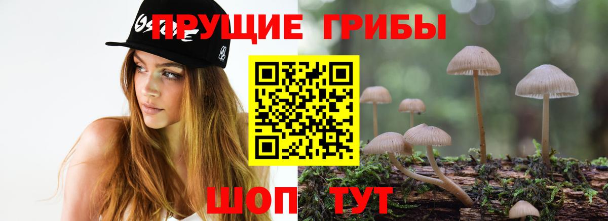 Псилоцибиновые грибы Cubensis Гуково
